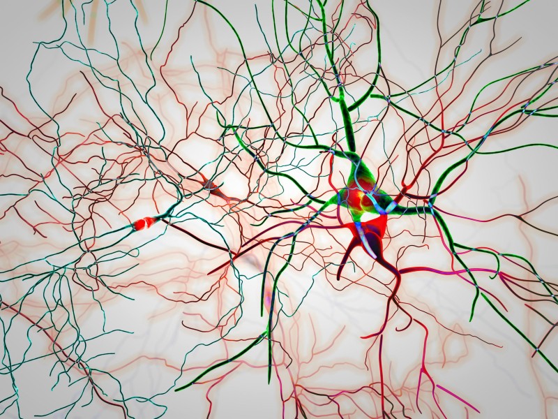 parkinson sintomi non motori