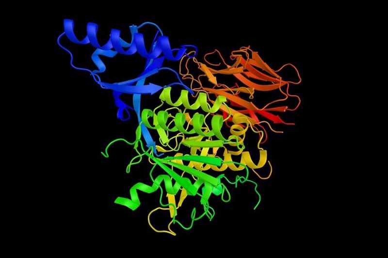 malattie vascolari proteina pcsk9